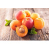 Abricots Secs Sauvages