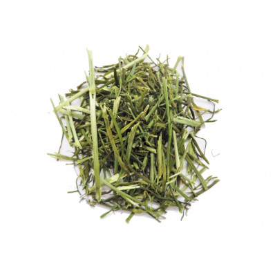 Aneth / Dill