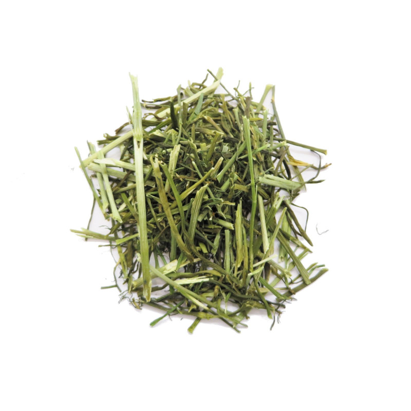 Aneth / Dill Aneth / Dill