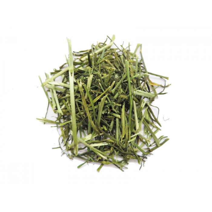 Aneth / Dill