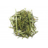 Aneth / Dill
