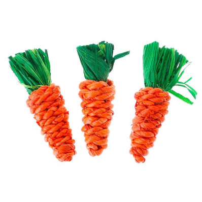 3 Carottes pour lapin