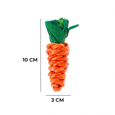 3 Carottes pour lapin
