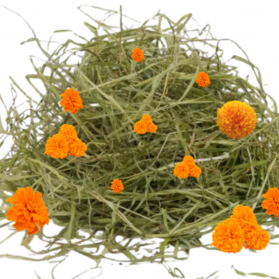 Foin pour  Lapins, cobayes, chinchillas, octodons, hamsters, tortues,