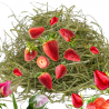 Foin pour  Lapins, cobayes, chinchillas, octodons, hamsters, tortues,