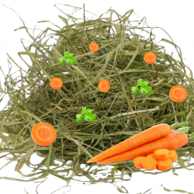 Foin pour  Lapins, cobayes, chinchillas, octodons, hamsters, tortues,