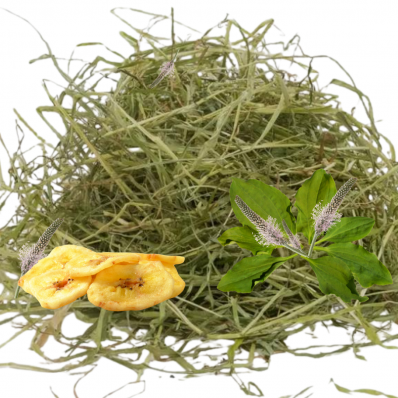 Foin pour  Lapins, cobayes, chinchillas, octodons, hamsters, tortues,