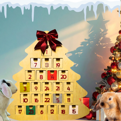 Calendrier de l’Avent pour lapins