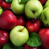 Pomme  séchée
