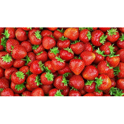 Fraise  séchée BIO