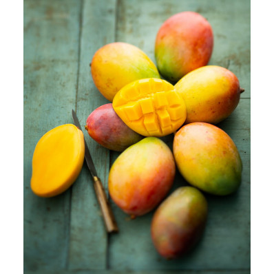 Mangue séchée BIO