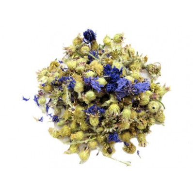 Fleurs de bleuet