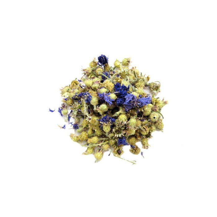 Fleurs de bleuet