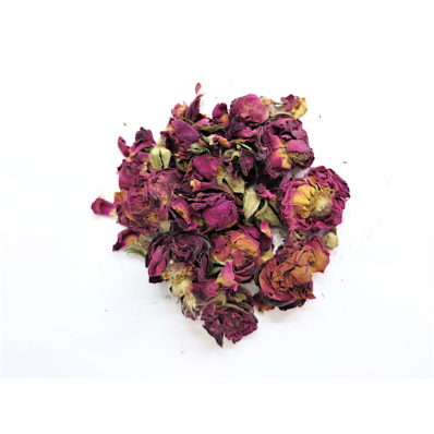 Boutons de rose