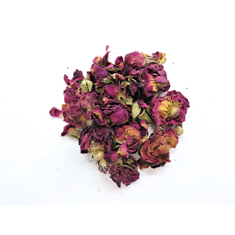Boutons de rose