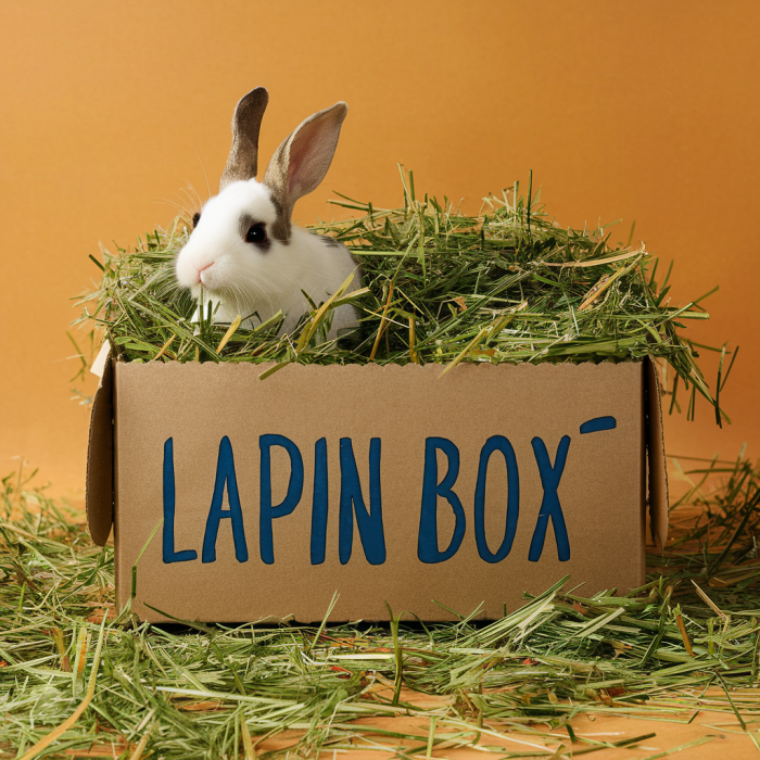 Box Premium